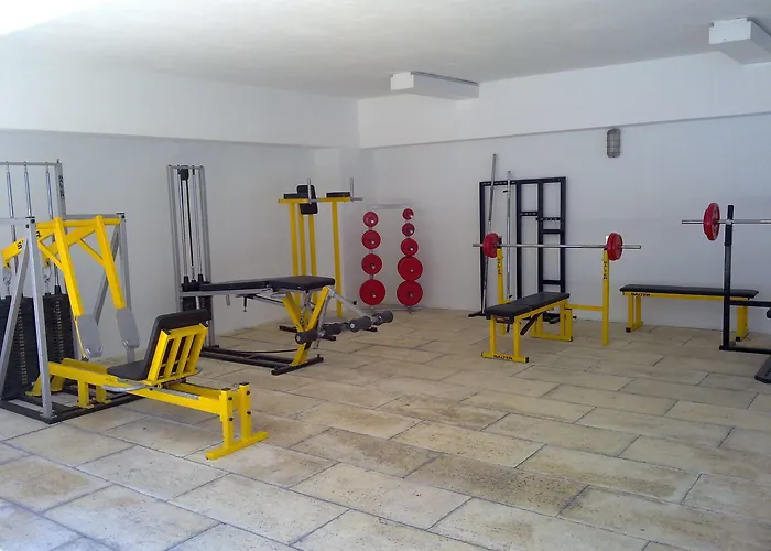 贵宾酒店 酒店 3*